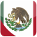flying to mexico