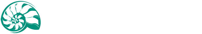 Clinical Overview of the Recovery Experience