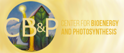 Center for Bioenergy & Photosynthesis