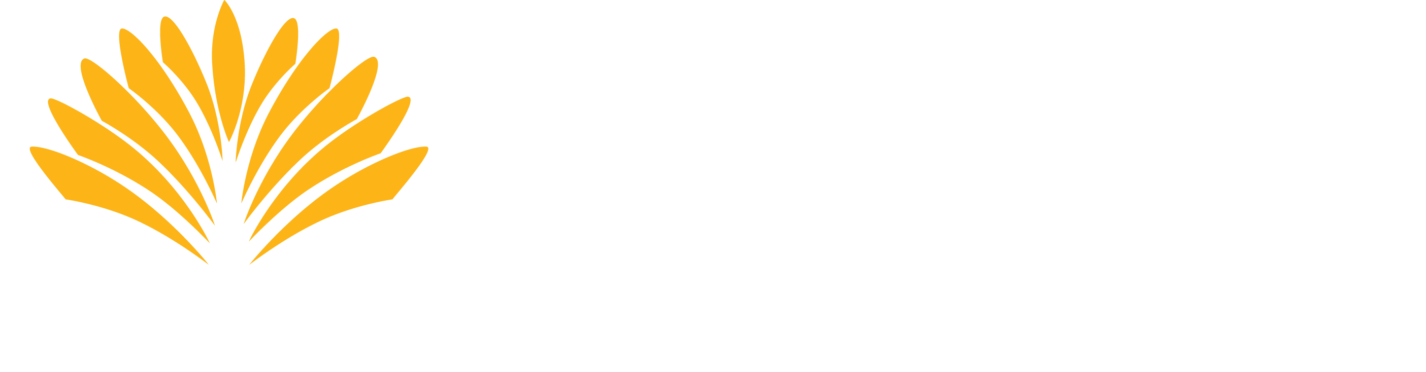 Association of Recovery in Higher Education: ARHE