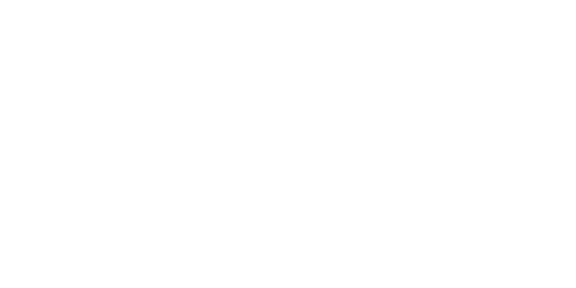 Centennial Institute