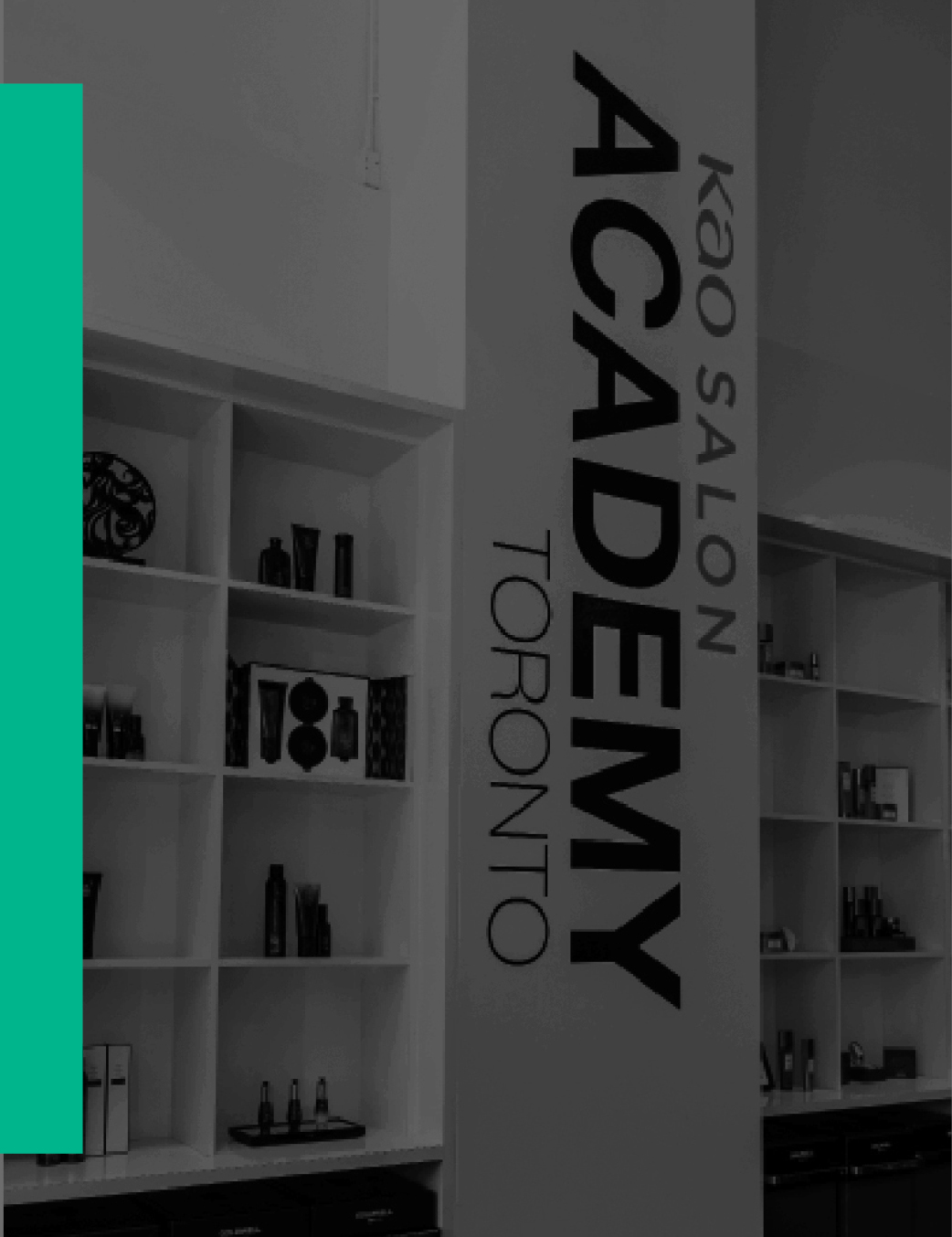 About the Toronto Academy