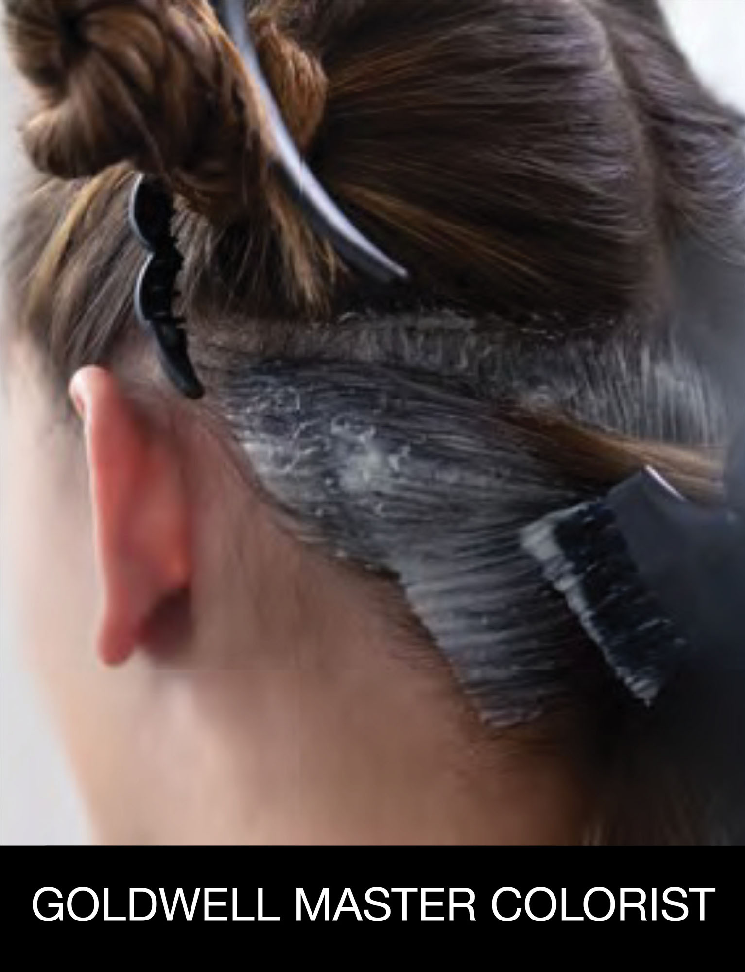 Goldwell Master Colorist